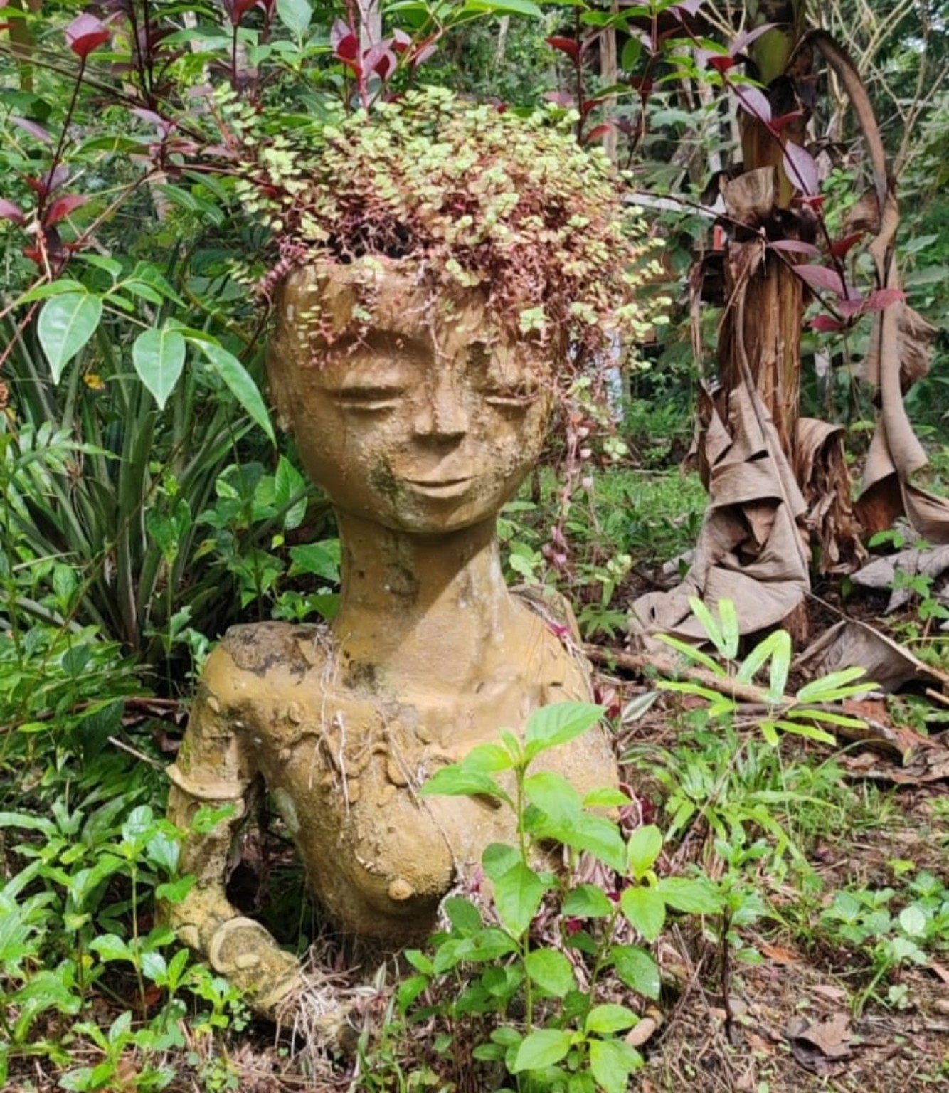 Escultura de Planta de Arte rodeada de vegetación
